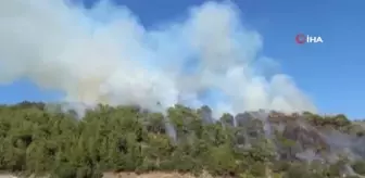 Antalya haberleri | Antalya'da çıkan orman yangını kontrol altına alındı