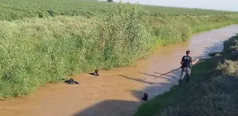 Evinin önünde oynarken kaybolan 4 yaşındaki çocuğun 3 gün sonra cansız bedeni bulundu