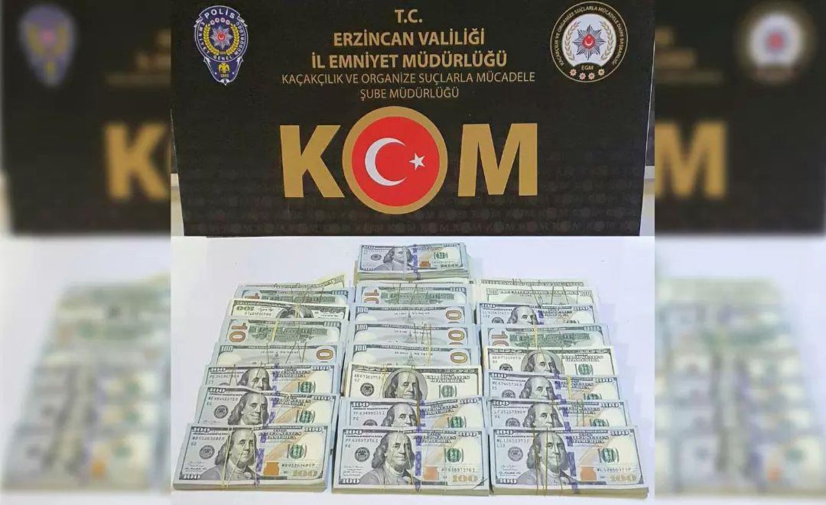 Iğdır haberi... Iğdır'da dolar gasbettiği öne sürülen şüpheli Erzincan'da yakalandı