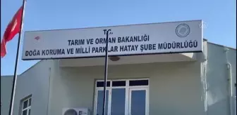 Son Dakika | Kaçak avcıların ateş açtığı av koruma ve kontrol ekibi görevlisi hayatını kaybetti
