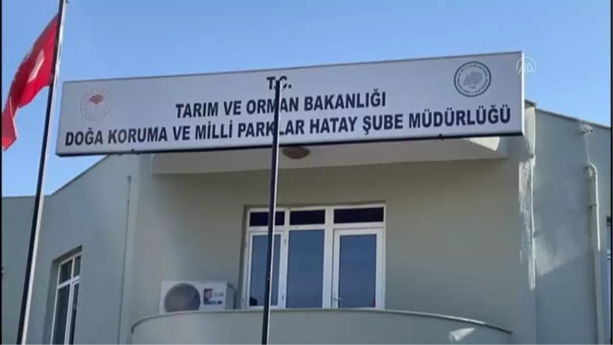 Son Dakika | Kaçak avcıların ateş açtığı av koruma ve kontrol ekibi görevlisi hayatını kaybetti