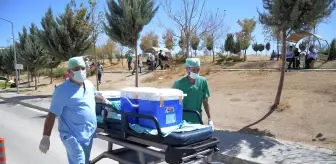 Trafik kazası sonucu beyin ölümü gerçekleşen adamın organları 4 hastaya umut oldu
