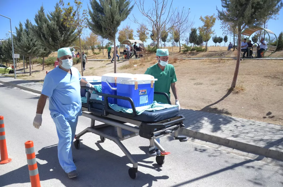 Trafik kazası sonucu beyin ölümü gerçekleşen adamın organları 4 hastaya umut oldu