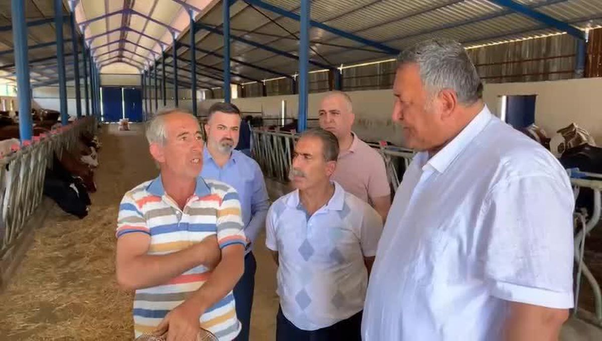 Son dakika haberi... Niğdeli Besici: Bir Yıl Daha Dişimi Sıkacağım. Seneye Bu Zamana Geldiğimizde Düzen Aynı Bu Şekilde Gidiyorsa Bitireceğiz