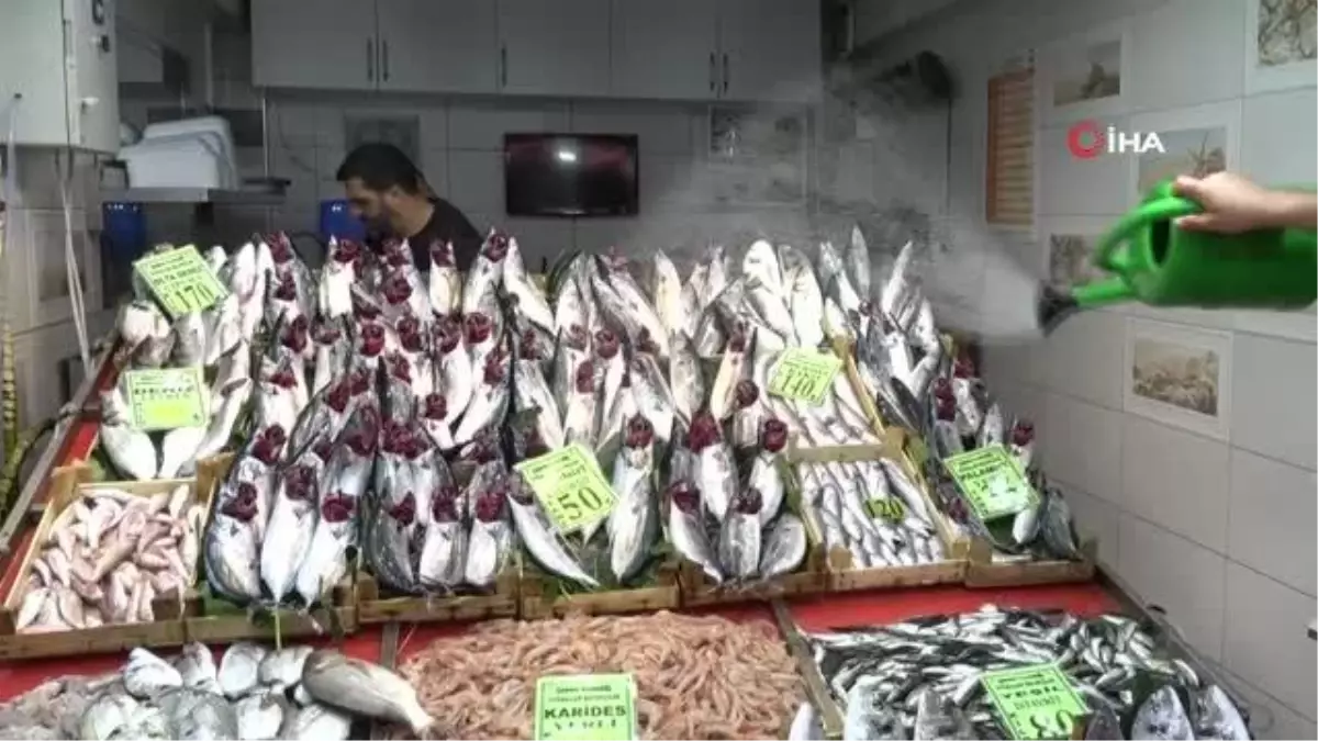 Çanakkale haberleri! Çanakkale'de palamut'un tanesi 50 liraya düştü