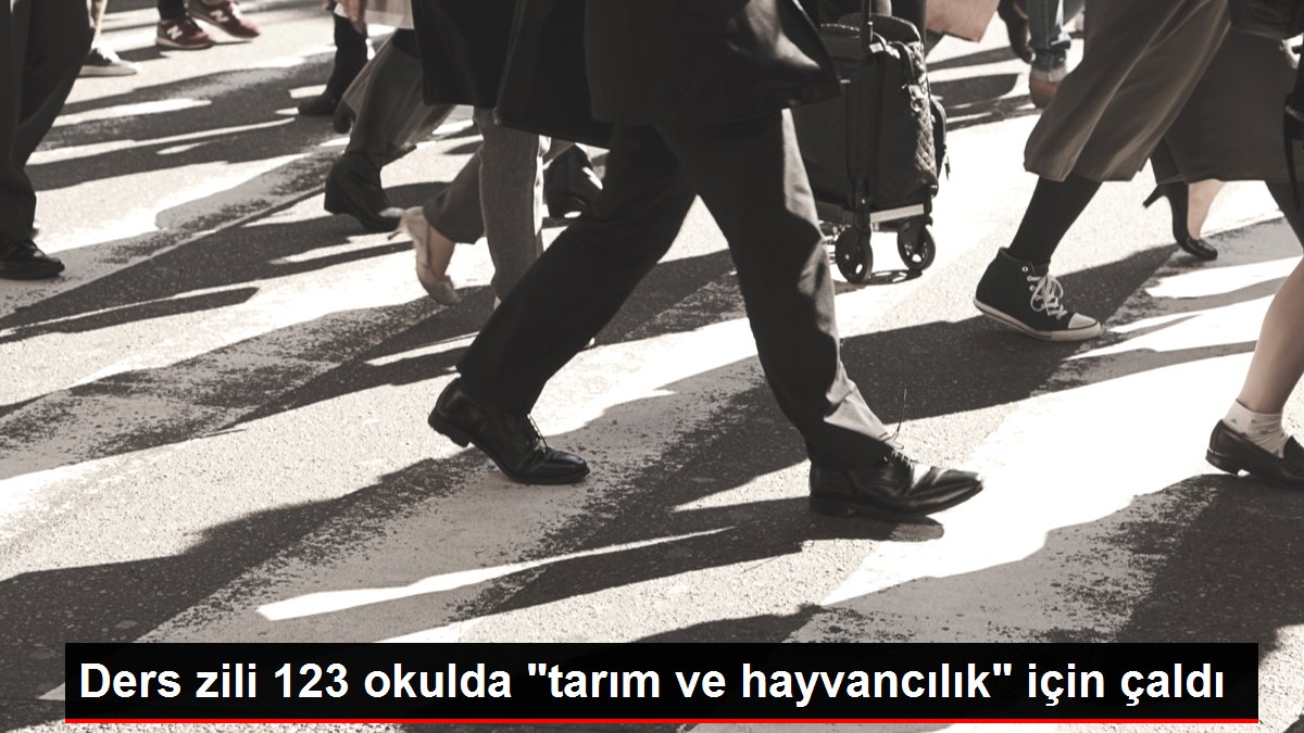 Ders zili 123 okulda 'tarım ve hayvancılık' için çaldı