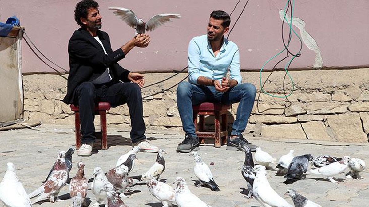 Havada 9 saat kalabilen güvercinler, kardeşlere yarışmada birincilik getirdi