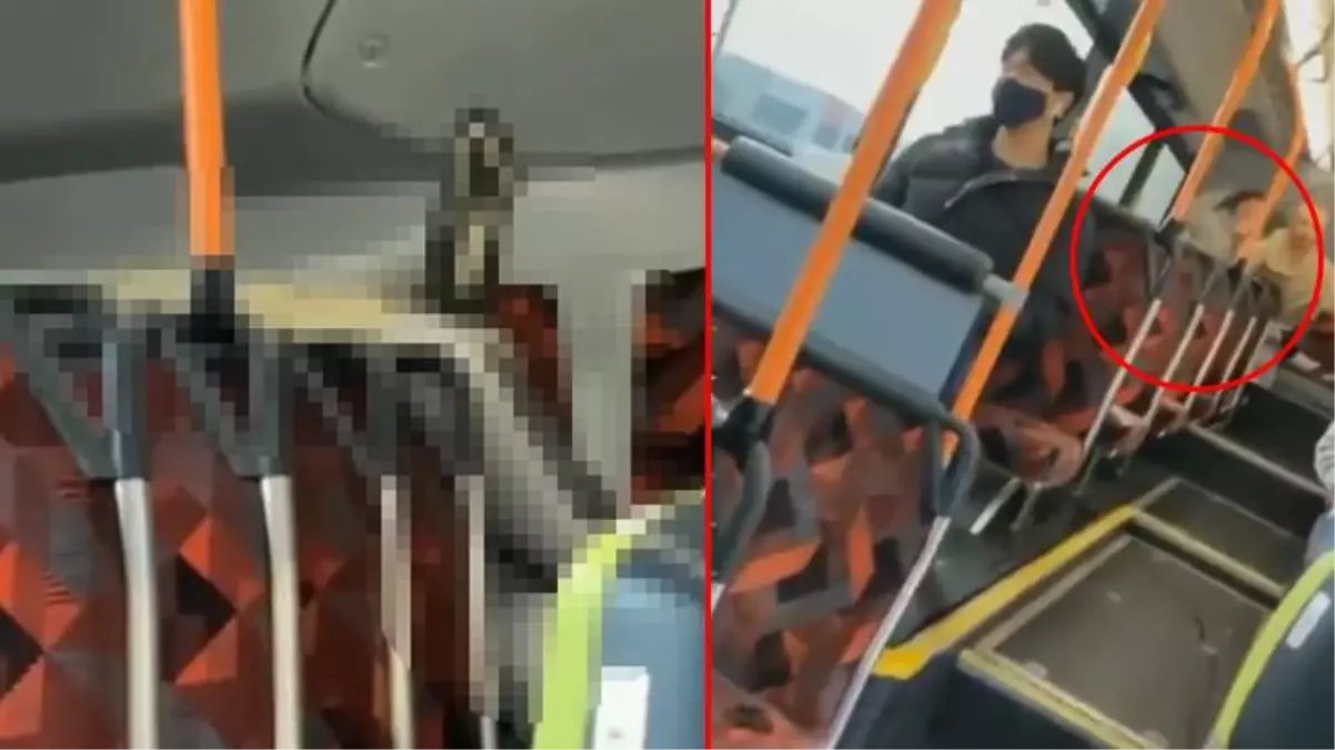 Otobüsün arka koltuğunda göz göre göre cinsel ilişkiye girdiler,  savunmaları da akılalmaz - Haberler