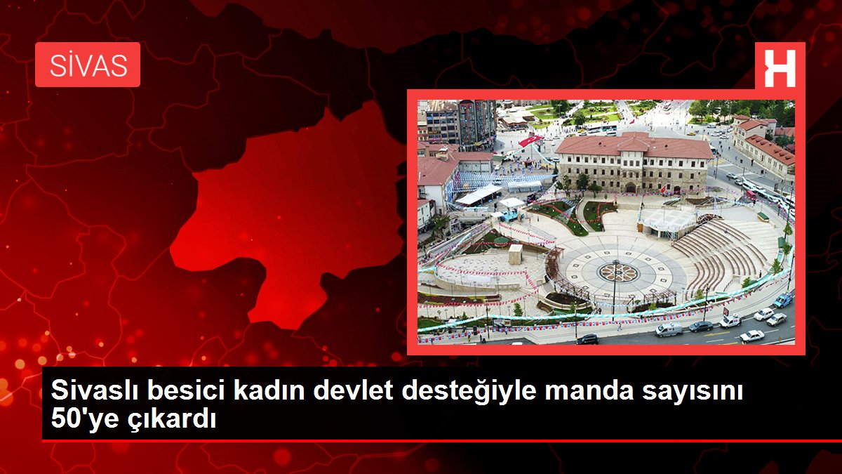 Uşak haberleri... Sivaslı besici kadın devlet desteğiyle manda sayısını 50'ye çıkardı