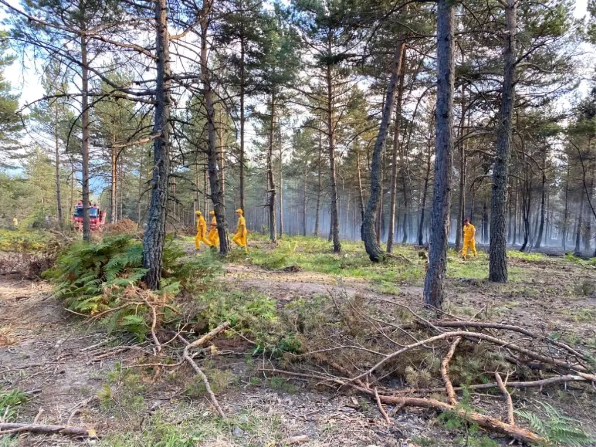 Son dakika haber! Tokat'ta aynı yerde ikinci kez çıkan orman yangını kontrol altına alındı