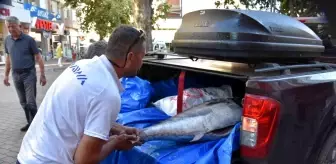 Hayali olan 100 kiloluk orkinosu Ege'de yakaladı