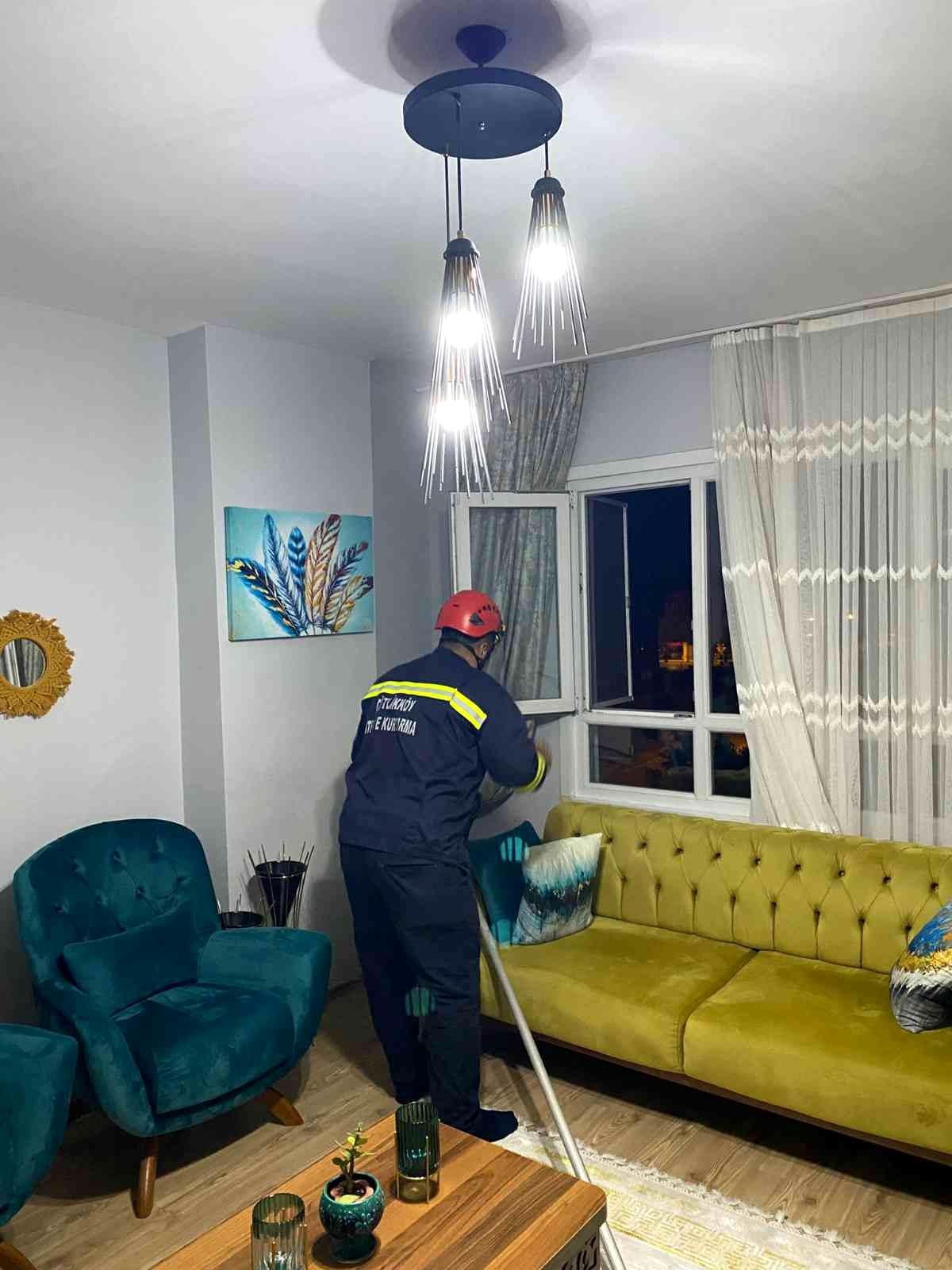 Son dakika haber! Yalova'da eve giren yarasayı itfaiye ekipleri çıkardı