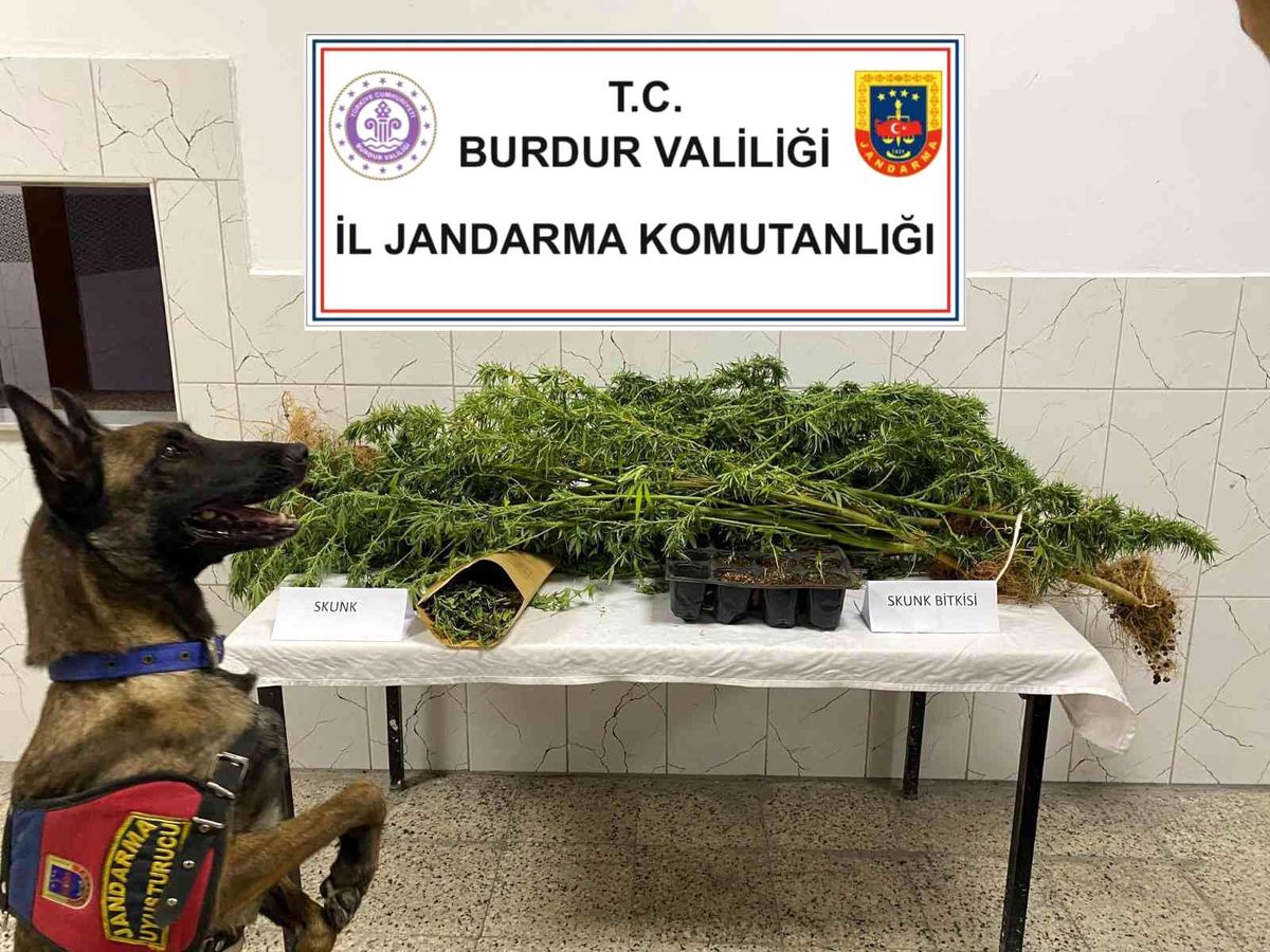 Burdur 3. sayfa haberi: Burdur'da uyuşturucu operasyonlarında 1 tutuklama