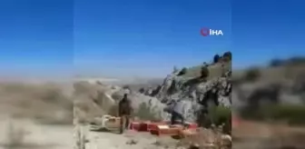 Kınalı keklikler doğaya salındı