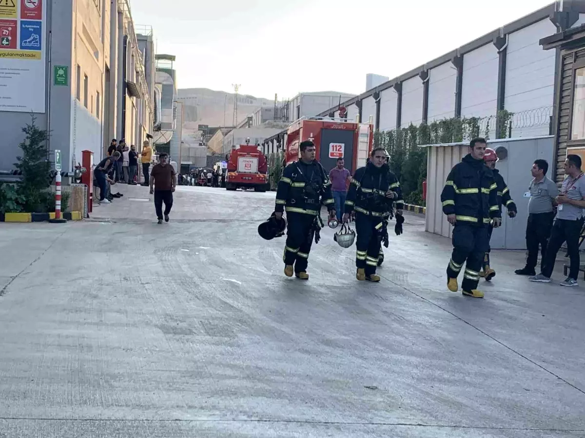 Pamuk fabrikasında yangın: 1 itfaiye eri öldü, 9 kişi yaralandı