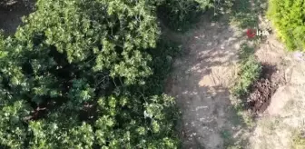 Büyükşehir devreye girdi, üreticilerin yüzü güldü