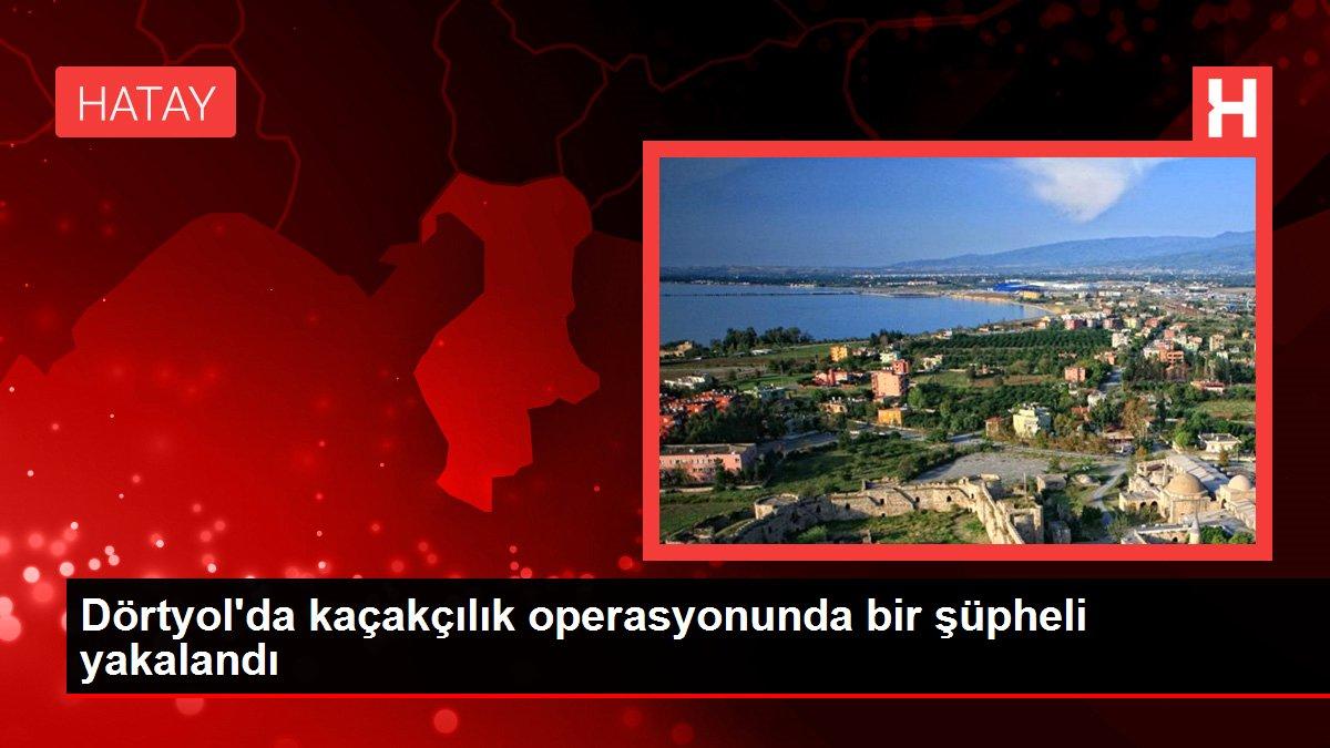 Son dakika haber... Dörtyol'da kaçakçılık operasyonunda bir şüpheli yakalandı