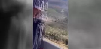 GAZİANTEP - Kamyonla otomobil çarpıştı, sürücüler yaşamını yitirdi, bir kişi ağır yaralandı