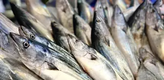 MİGROS'TA BALIK SEZONU, PALAMUT ADET 19.90 TL KAMPANYASIYLA DEVAM EDİYOR