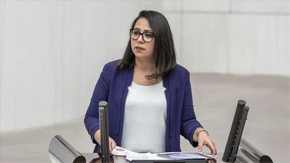 Sera Kadıgil kimdir? Milletvekili adayı Sera Kadıgil kaç yaşında, nereli? Sera Kadıgil hayatı ve biyografisi!