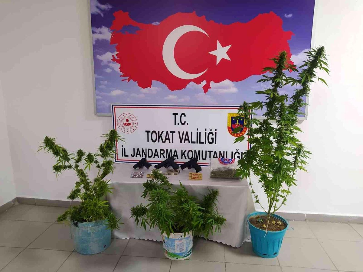 Tokat haberleri: Tokat'ta uyuşturucu operasyonu: 2 gözaltı