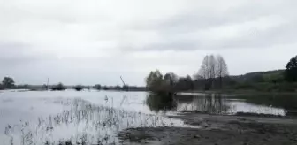 Irpin barajının sular altında bıraktığı bölgelerde vatandaşlar balık tuttu