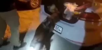 Otomobilde 32 bin 700 uyuşturucu hap ele geçirildi