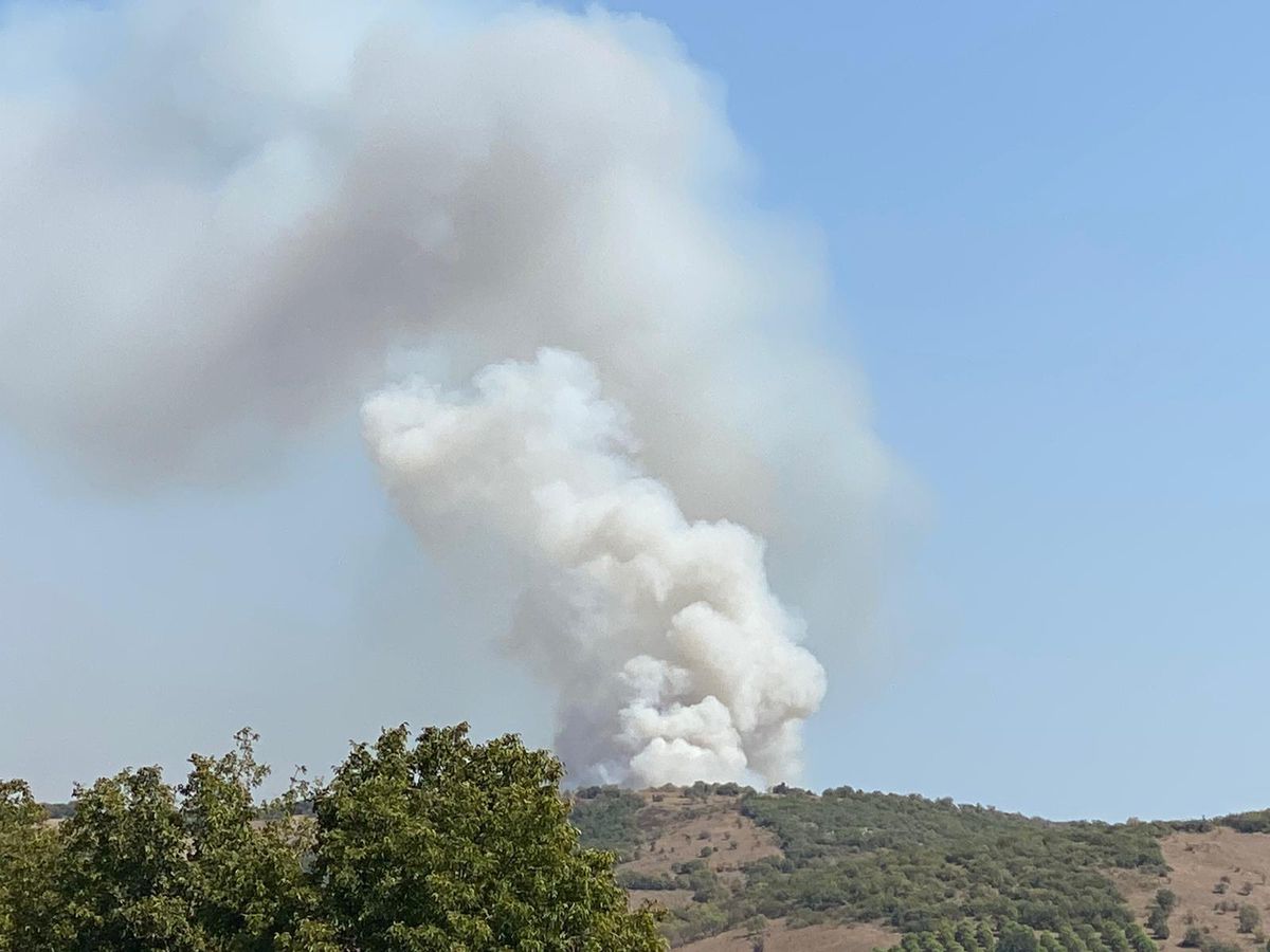 Balıkesir gündem haberi... Balıkesir'de çıkan orman yangını kontrol altına alındı