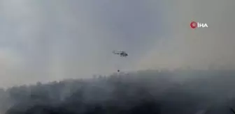 Son dakika haberleri! Balıkesir'deki yangına havadan ve karadan müdahale sürüyor