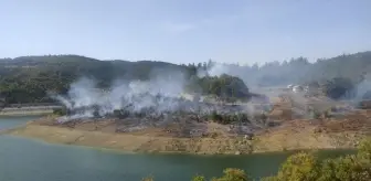 Son dakika haberi! Bursa'da çıkan orman yangını kontrol altına alındı