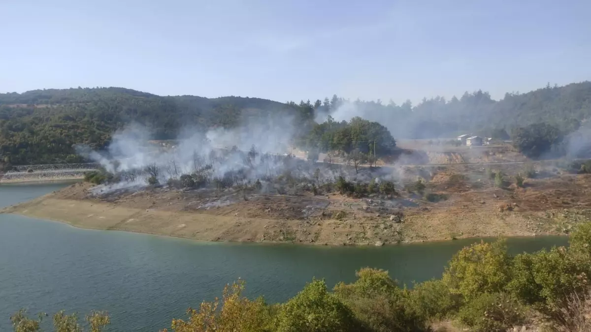Son dakika haberi! Bursa'da çıkan orman yangını kontrol altına alındı