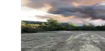 Son dakika haber... Bursa'nın Orhaneli ilçesinde orman yangını