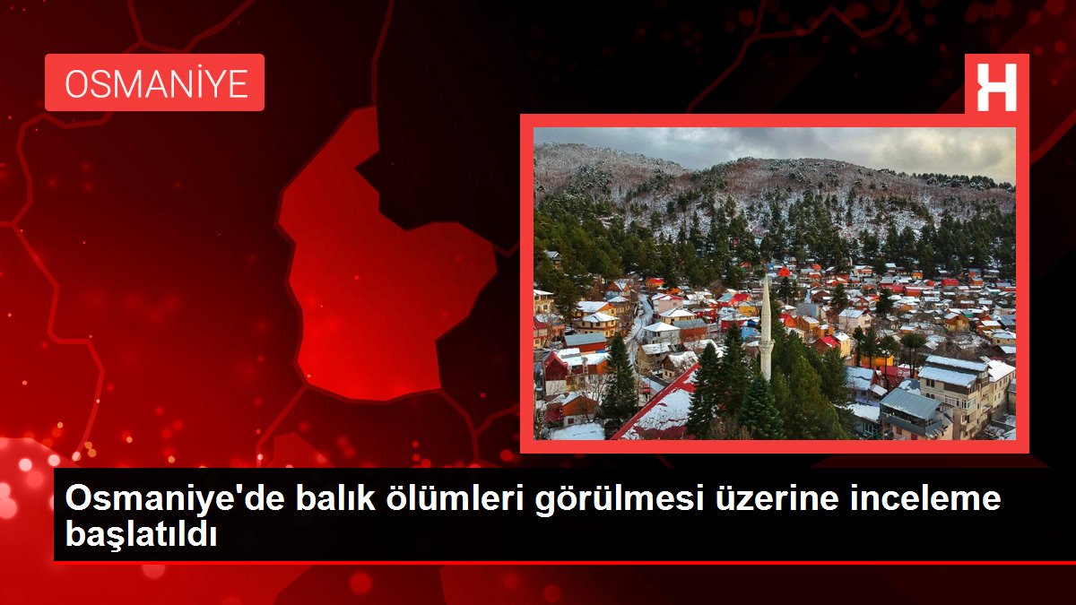 Son dakika haber: Osmaniye'de balık ölümleri görülmesi üzerine inceleme başlatıldı