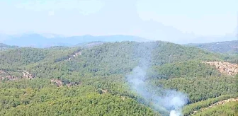 Son dakika haberi | Alanya'da orman yangınında 2 dönüm alan zarar gördü