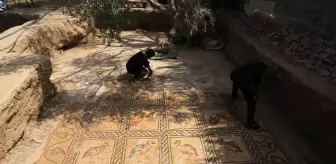 Filistinli çiftçi, Gazze'deki tarlasında Bizans dönemine ait mozaik keşfetti (2)