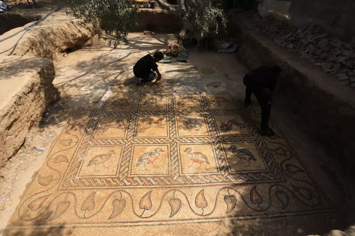 Filistinli çiftçi, Gazze'deki tarlasında Bizans dönemine ait mozaik keşfetti (2)