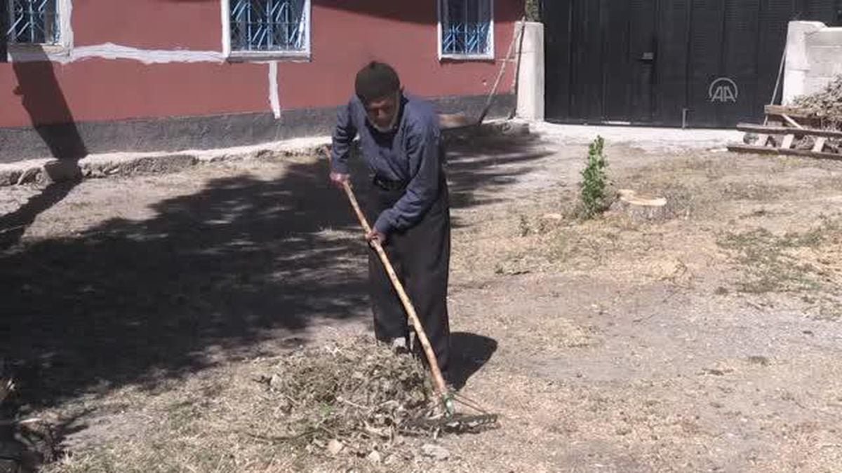 Son dakika gündem: Kore ve Kıbrıs gazileri askerlik yıllarını gururla anlattı