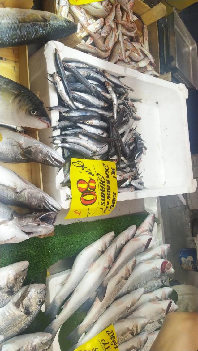 Mevsimlerden Palamut!Tanesi 20 TL