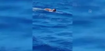 Çanakkale haberleri! ÇANAKKALE - Yüzücü Alper Sunaçoğlu, Gökçeada'ya 8 saat 14 dakikada yüzdü