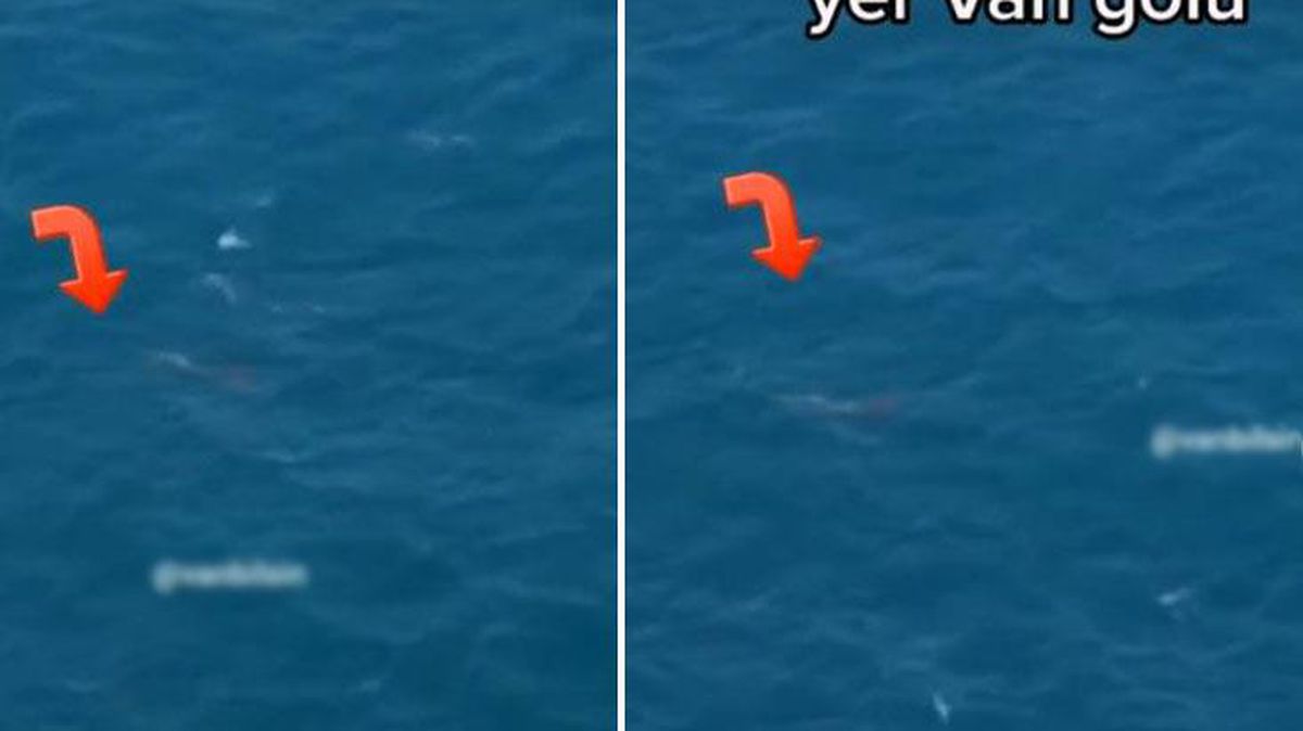 Van'da çekilen görüntü yine ortalığı ayağa kaldıracak! Efsane geri dönüyor