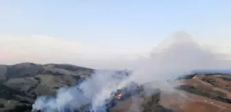 Son dakika haberi! Adana'da çıkan orman yangını kontrol altına alındı
