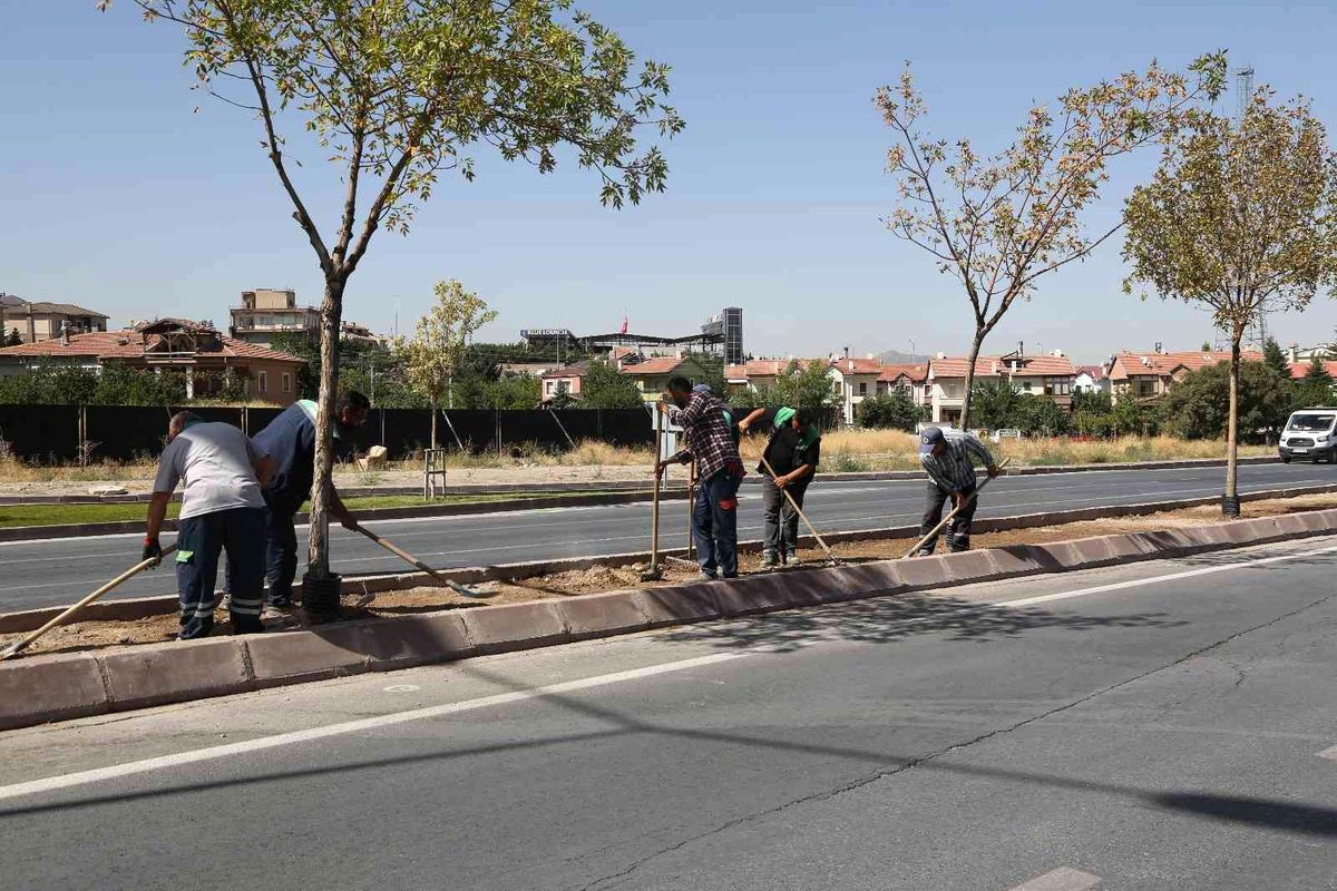 Komando Caddesi'nde refüjdeki çimler tasarruflu sulanıyor