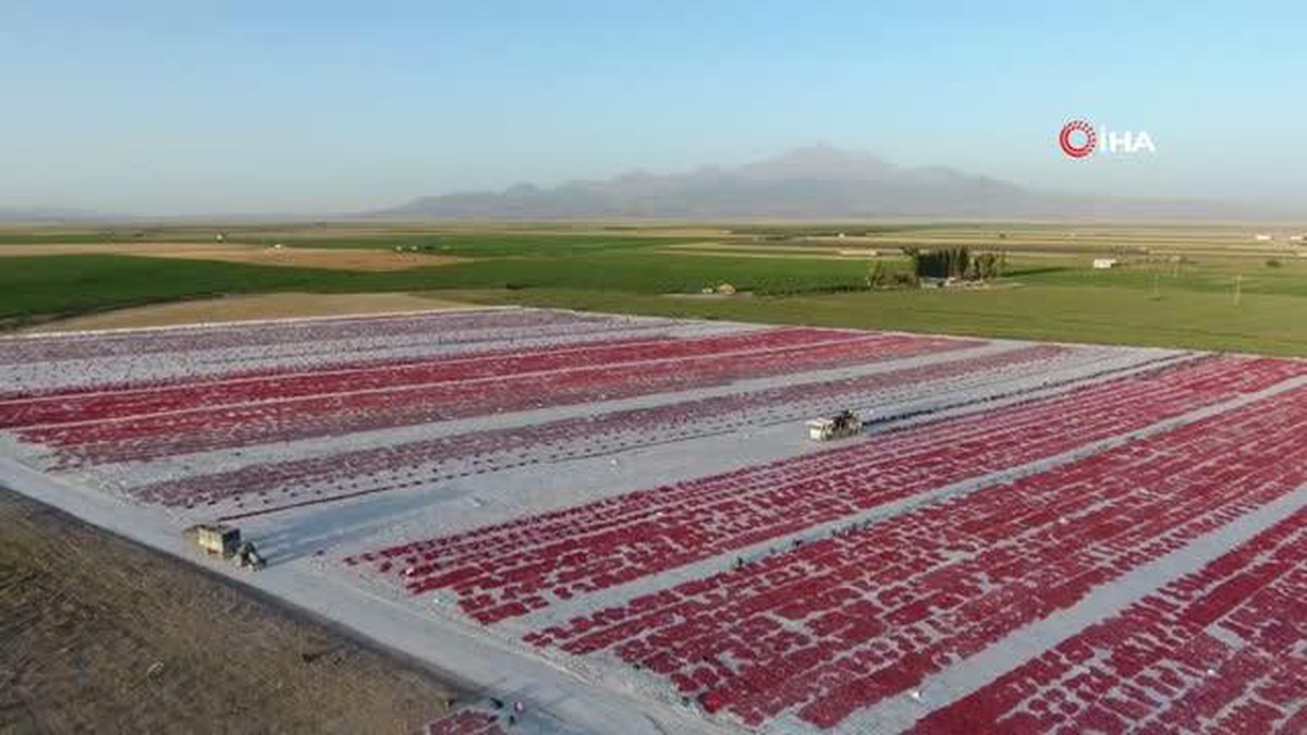 Erciyes'in etekleri kırmızıya boyandı