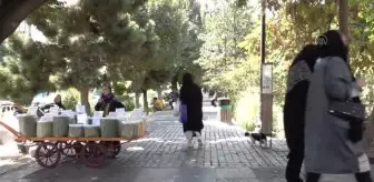 İran'da günlük yaşam