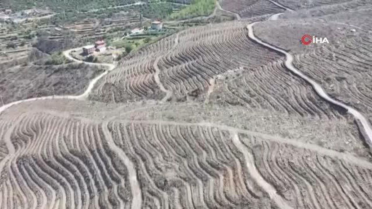 Muğla haberi... Kavaklıdere'de yanan alanlarda çalışmalar sürüyor