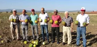 Kütahya haber: Kütahya'nın meşhur 'Terziler kavunu' tezgahlardaki yerini aldı