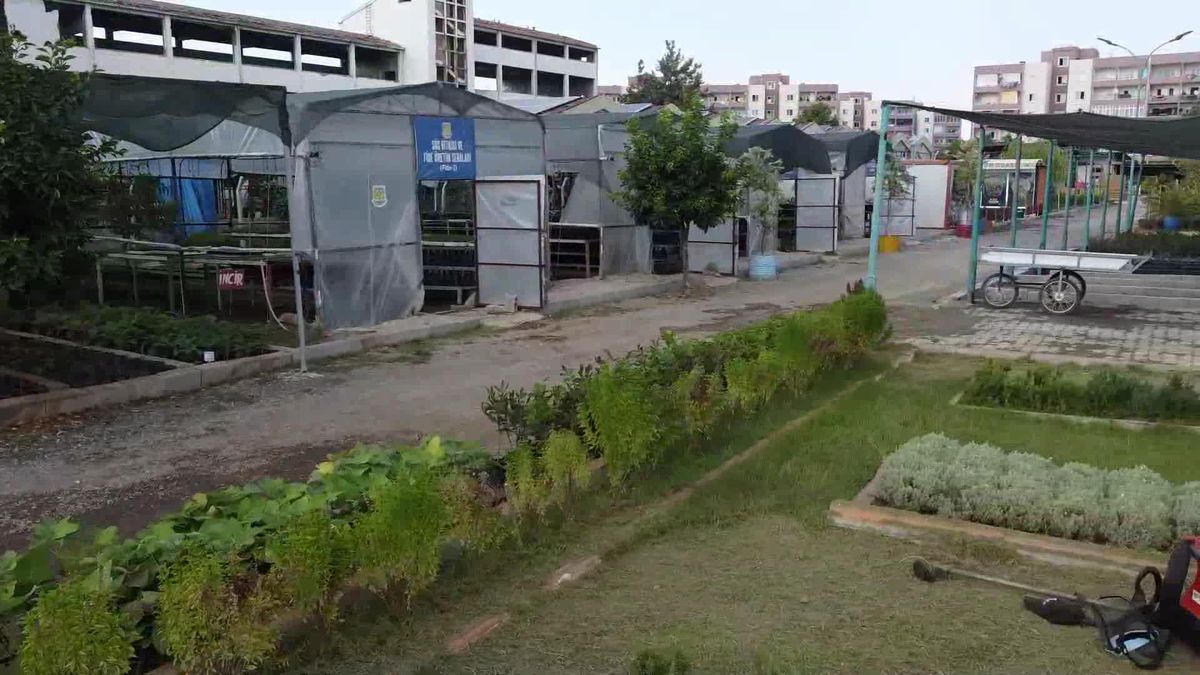 Son dakika haber | Tarsus Belediyesi'nin Tarımsal Üretim Çalışmaları ile Hem Çiftçi Hem de Kent Kazanıyor