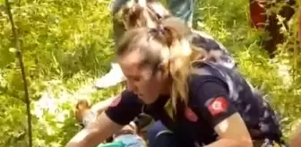 Fındık bahçesinde temizlik yaparken hastanelik oldu