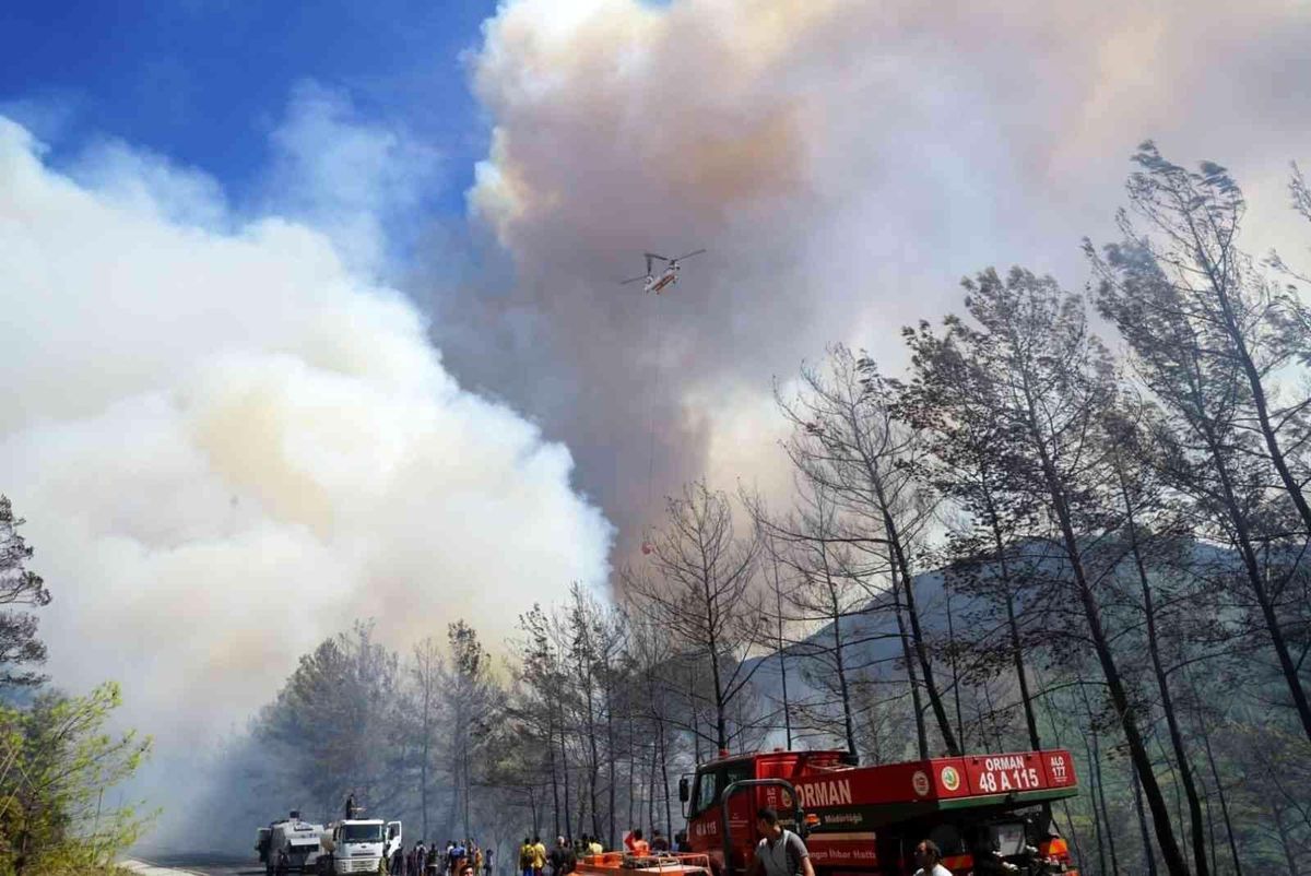 Muğla haberleri: Marmaris'teki orman yangınına 14 uçak ve 35 helikopter ile havadan müdahale ediliyor