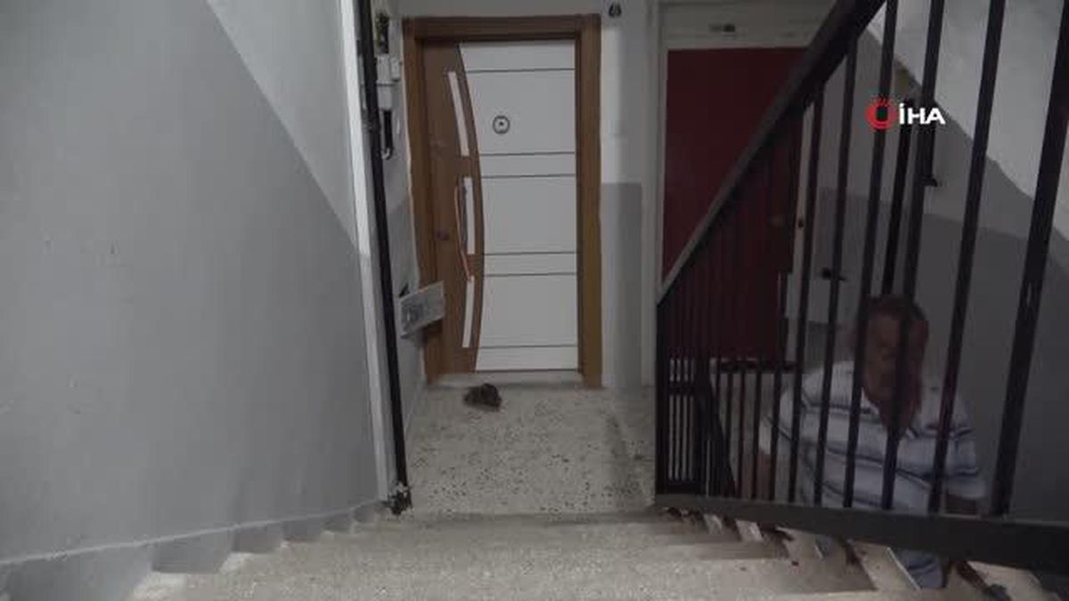 66 yaşındaki engelli adam, yaşadığı binada 6. kata çıkıp inebileceği asansör istiyor